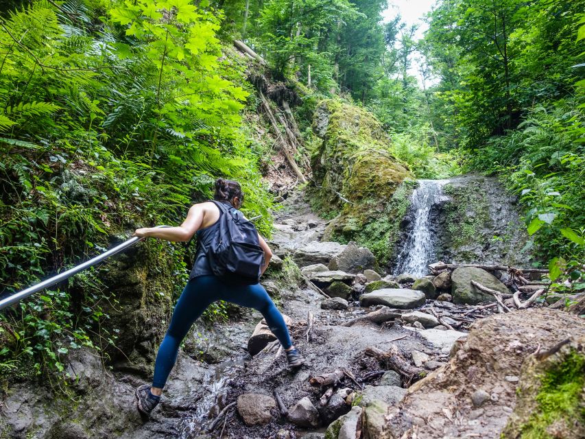 One Day Wonder Hike - The Essence of the Danube Bend - Transportation time counts: the van helps you see more