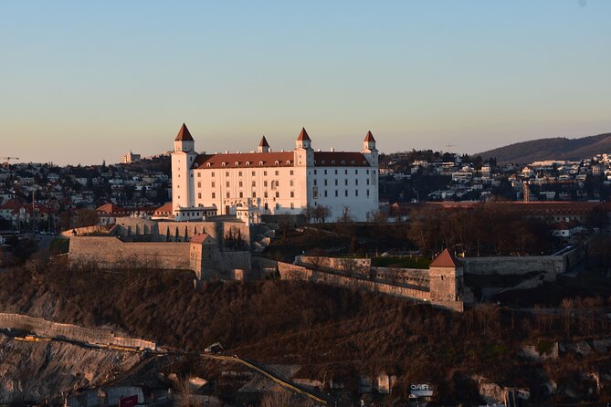 Private day trip from Budapest to Bratislava, Vienna, and back - The private car advantage (and how to get the most out of your driver)