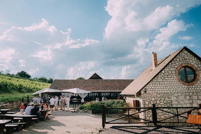 Private Etyek Wine tour with dinner including a Budapest Danube Evening Cruise - Budapest highlights during the return: Chain Bridge, Castle views, Parliament