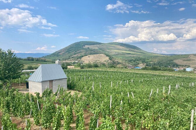 Private Full Day Tour to Eger - History, Culture and Wine - Valley of the Beautiful Woman: Wine Country Time That You Control