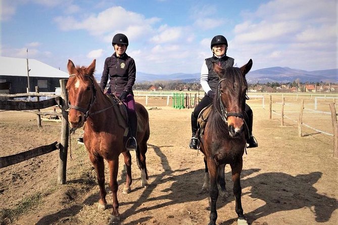 Private Horse Riding near Budapest with transport - Escaping Budapest on horseback: why Dunakeszi is the move