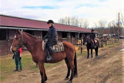 Private Horse Riding near Budapest with transport - The instructor factor: tailoring the ride to your experience