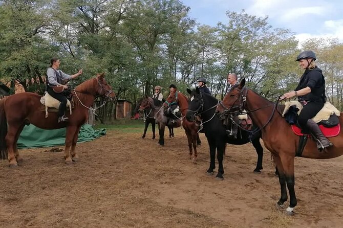 Private Horse Riding near Budapest with transport - Who this tour fits best (and who might want to choose differently)