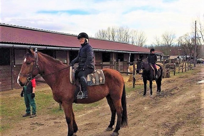 Private Horse Riding near Budapest with transport - The instructor factor: tailoring the ride to your experience