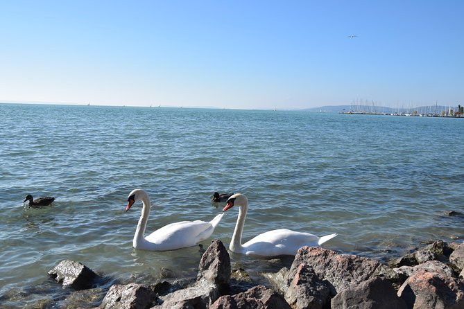 Private Lake Balaton Experience with an unforgettable Wine Tasting - Should You Book This Private Lake Balaton Experience?