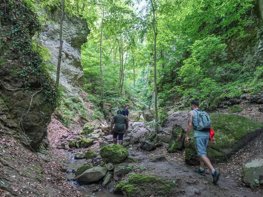 Ram Gorge Hiking Adventure - Stream crossings and ladder sections without the fuss