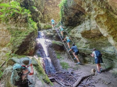 Ram Gorge Hiking Adventure - Entering Rám-szakadék: beech shade and volcanic rock steps