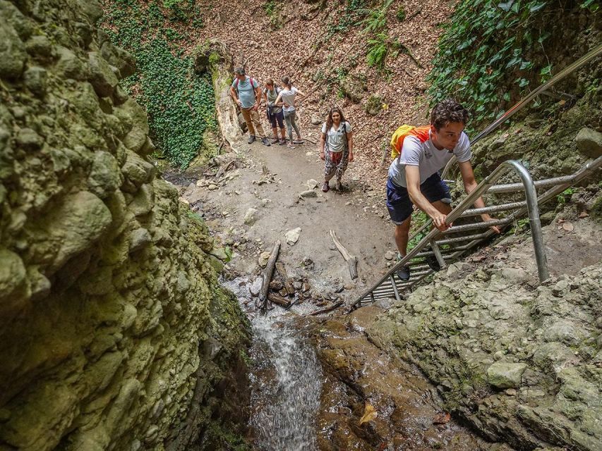 Ram Gorge Hiking Adventure - What you might see: black woodpeckers, wild cats, and deer