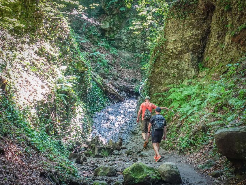 Ram Gorge Hiking Adventure - Rain, timing, and why this tour runs like a pro