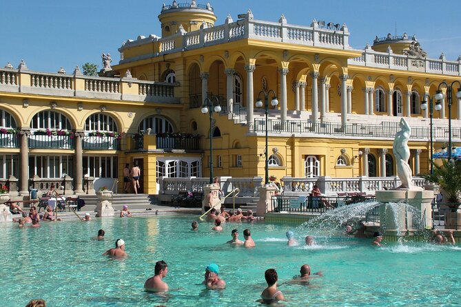 Széchenyi Thermal Spa Palm House Pass - Exclusive Area - Inside the Palm House: how the greenhouse changes your pace