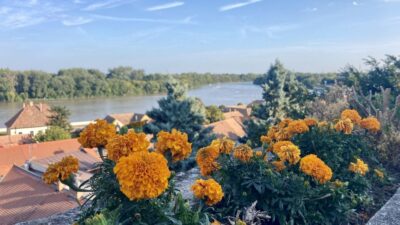 Szentendre: Arts and Cafés Tour (Half-Day Private Tour) - Your private ride and 4-hour timing: how it feels