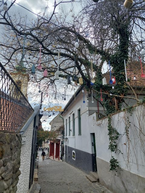 Szentendre: Half-Day Private Tour from Budapest - Key highlights at a glance