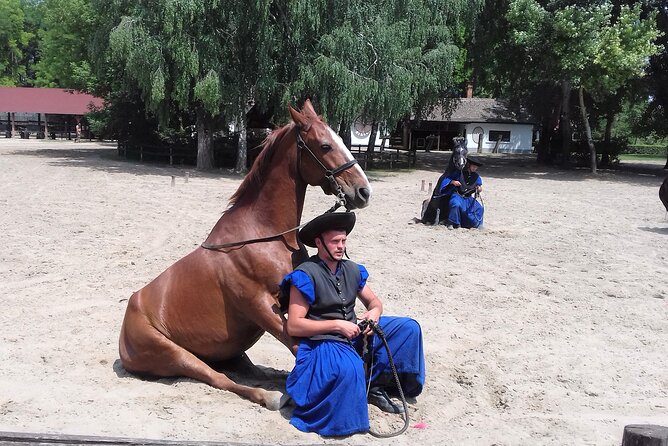 The "Puszta" Horse Show - Key Points at a Glance