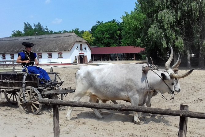 The "Puszta" Horse Show - Optional Horseback Ride: How to Think About Adding It