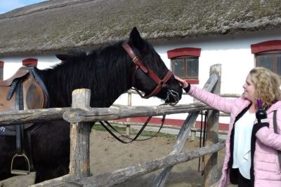 The "Puszta" Horse Show - Kecskemét City Stop: Folk-Art Details Before the Countryside Shift
