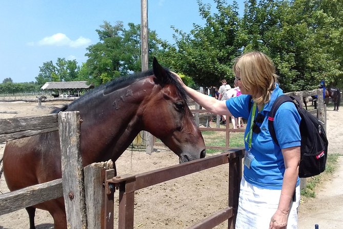 The "Puszta" Horse Show - Practical Tips to Get the Most Out of Your Puszta Day