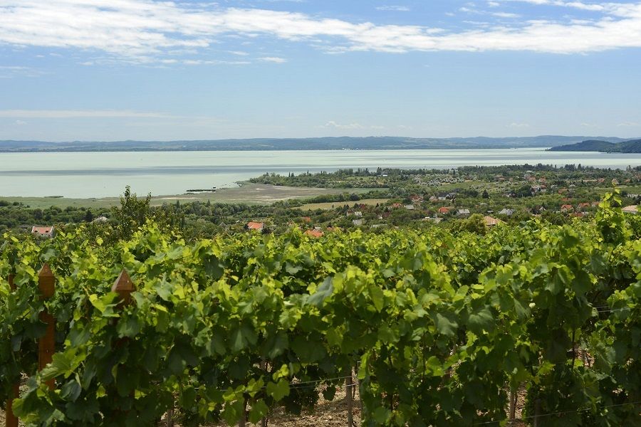 The Turquoise Sea of Hungary: Lake Balaton Private Tour - Balatonfüred Promenade: Villas, Mansions, and a Walk That Doesn’t Feel Forced