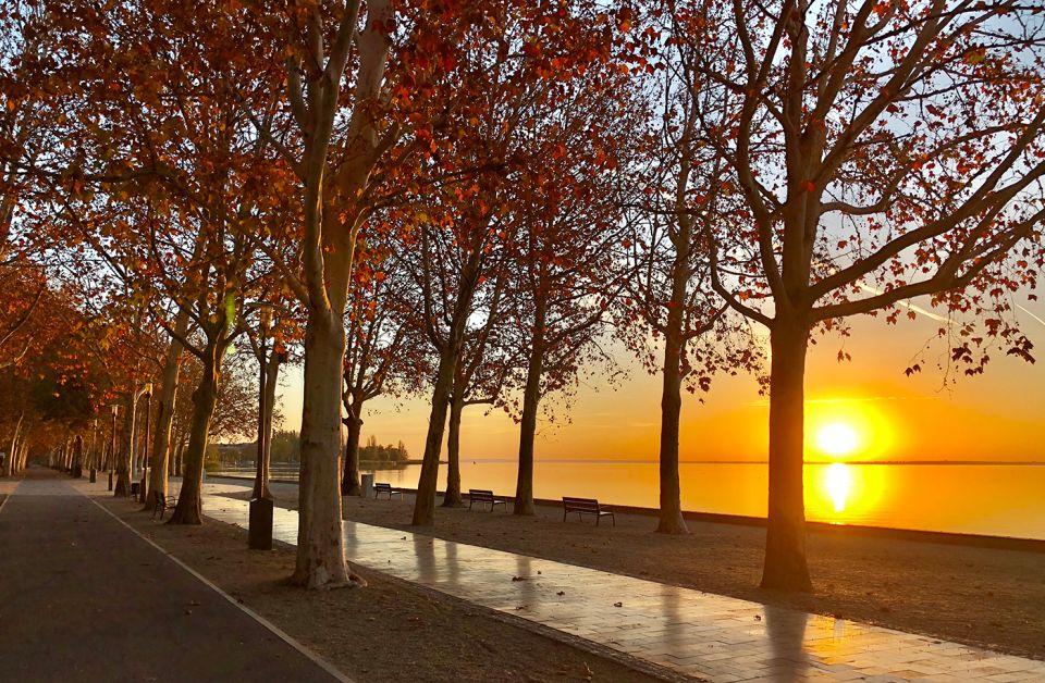 The Turquoise Sea of Hungary: Lake Balaton Private Tour - Lunch With a View: Food Options and What to Expect