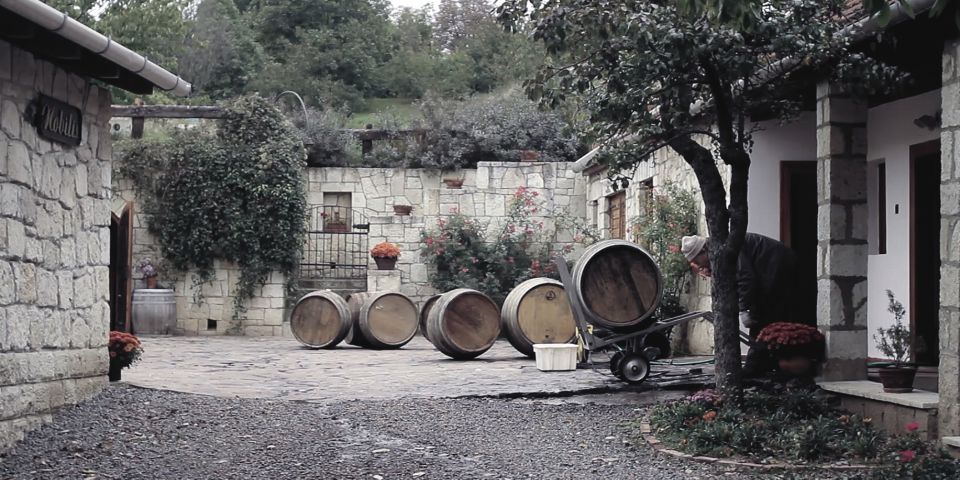 Tokaj Private Day Tour from Budapest - Tokaj’s UNESCO status isn’t just a sticker