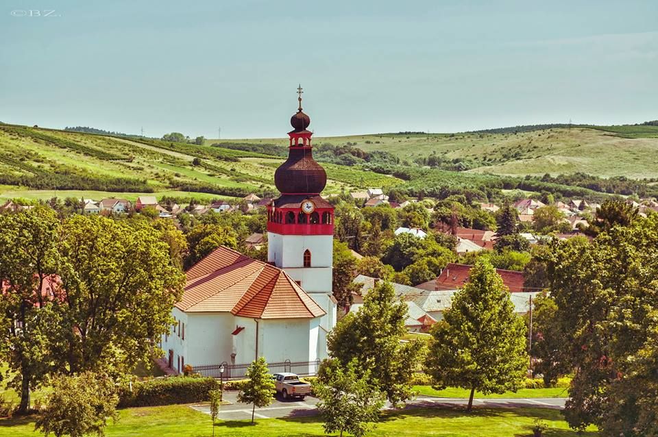 Tokaj Private Day Tour from Budapest - Who this Tokaj private day tour is best for