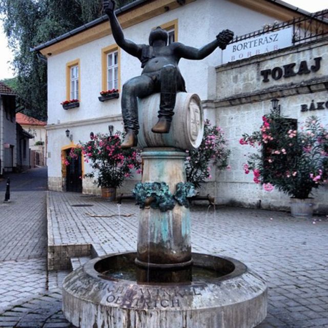 Tokaj Private Day Tour from Budapest - What’s not included: the one detail that can affect your budget
