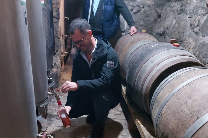 Wine Tasting in the Countryside from Budapest - Key things to know before you go