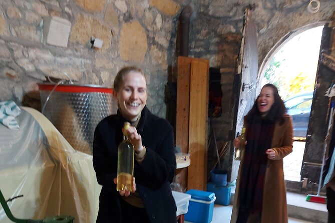 Wine Tasting in the Countryside from Budapest - Wineries and family cellars: why off-the-main-road matters