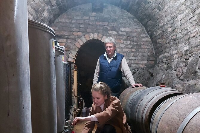 Wine Tasting in the Countryside from Budapest - Small group size: the practical luxury